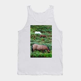 Three horses grazing in the Scottish Highlands Tank Top